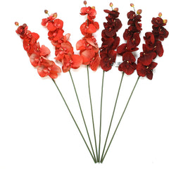 Hosley's Set of 6 Farmhouse Assorted 28" Long, Orchid Phalaenopsis - Salmon & Burgandy