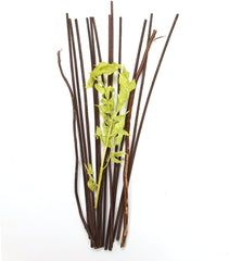 Hosley Aromatherapy 12.5" High Botanical Diffuser Reeds - Green/Brown