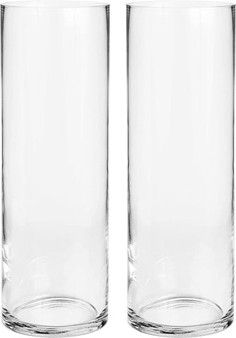 Hosley Set of 2 Clear Glass Vase 12 Inch High