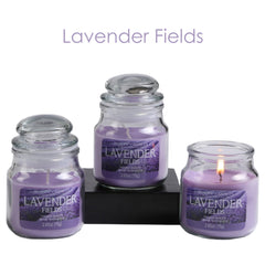Hosley Set of 3, Lavender Field Fragranced Jar Candles