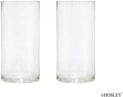 Hosley Set of 2, 8 inch High, Clear Modern Glass Vases