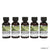 Hosley Aromatherapy Set of 5 Premium Rosemary Mint Highly Scented Warming Oils 1.86 Fluid Ounce Each
