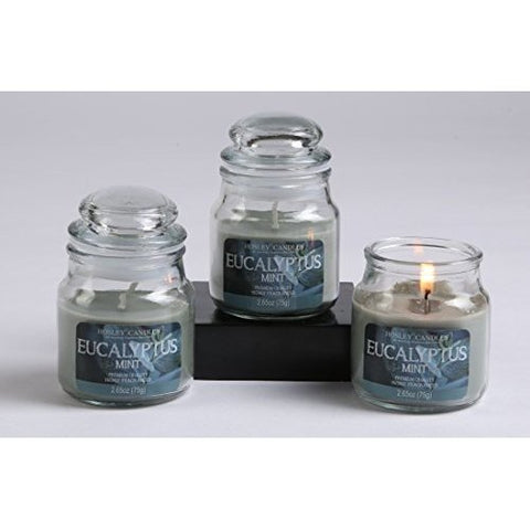 Hosley Set of 3, 2.65 oz. Eucalyptus Mint Jar Candles