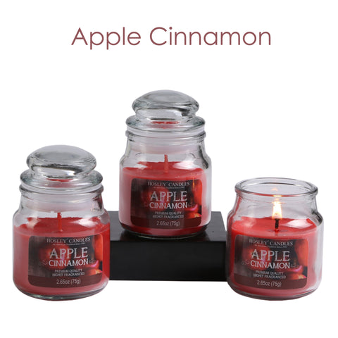 Hosley Set of 3, 2.65 oz. Apple Cinnamon Fragrance Jar Candle