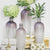 RAMUS VASES